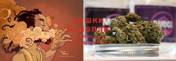 ПСИЛОЦИБИНОВЫЕ ГРИБЫ Балабаново
